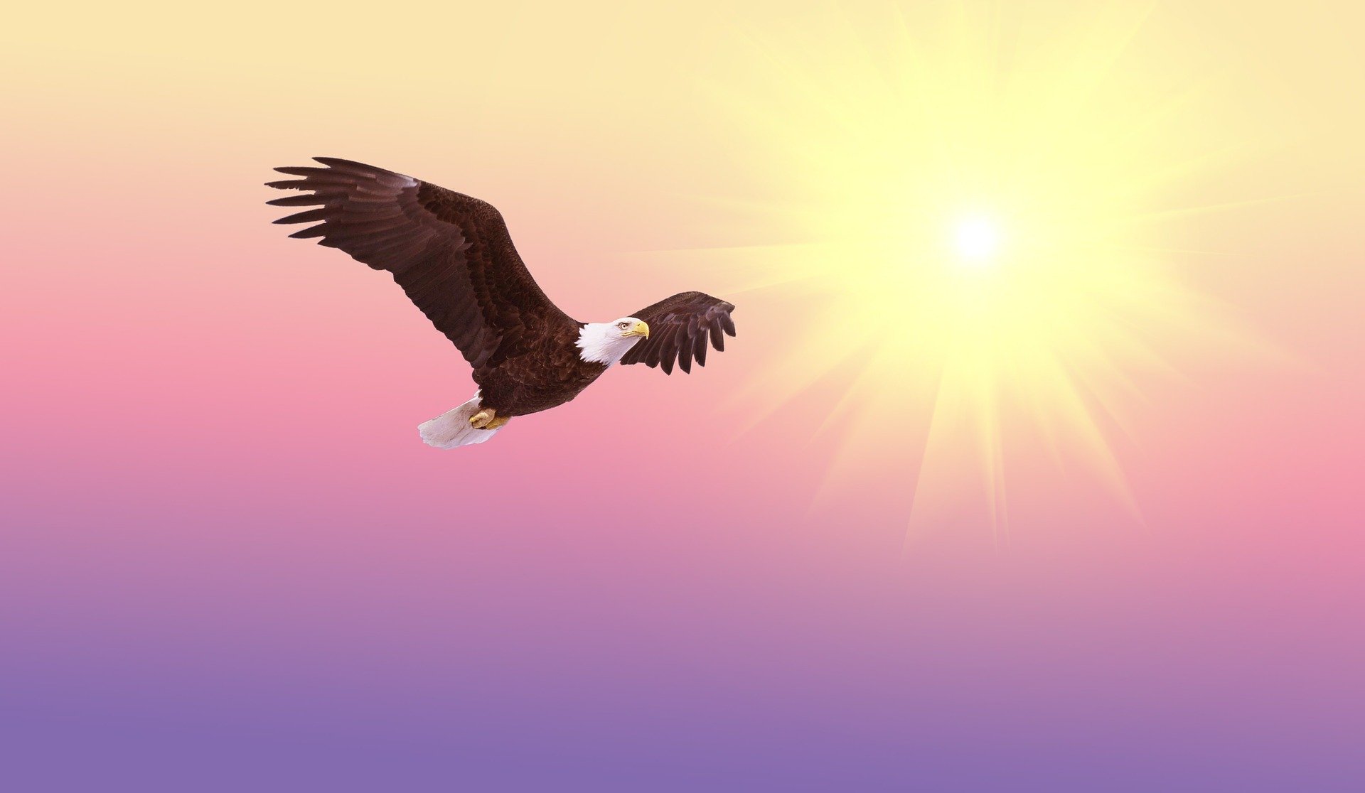 On Eagle’s Wings